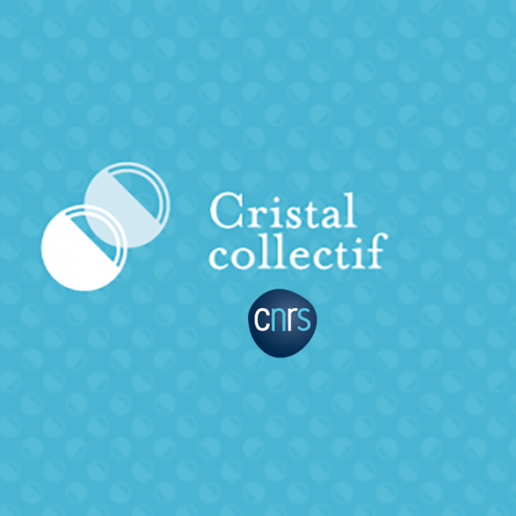 mathdoc cellule coordination documentaire cristal collectif cnrs